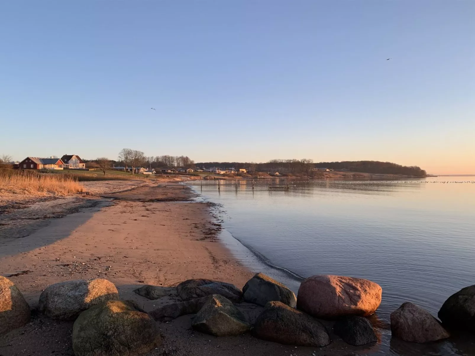 "Ovine" - 300m from the sea-Buiten