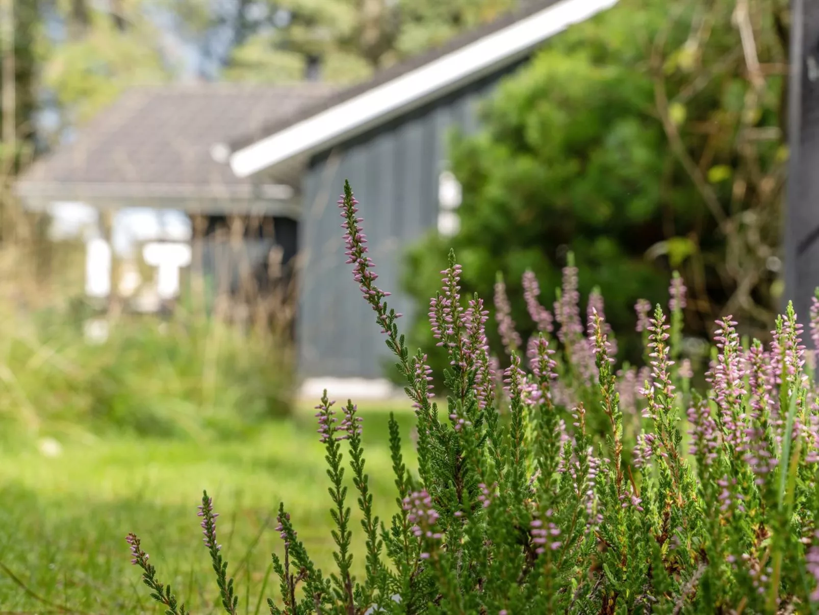 "Grimi" - 4km from the sea-Buiten