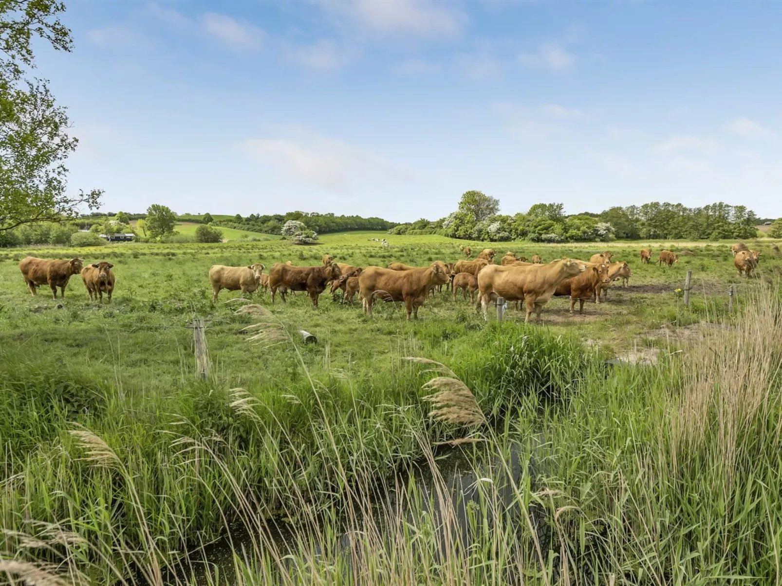 "Sigbritt" - 100m from the sea-Buiten