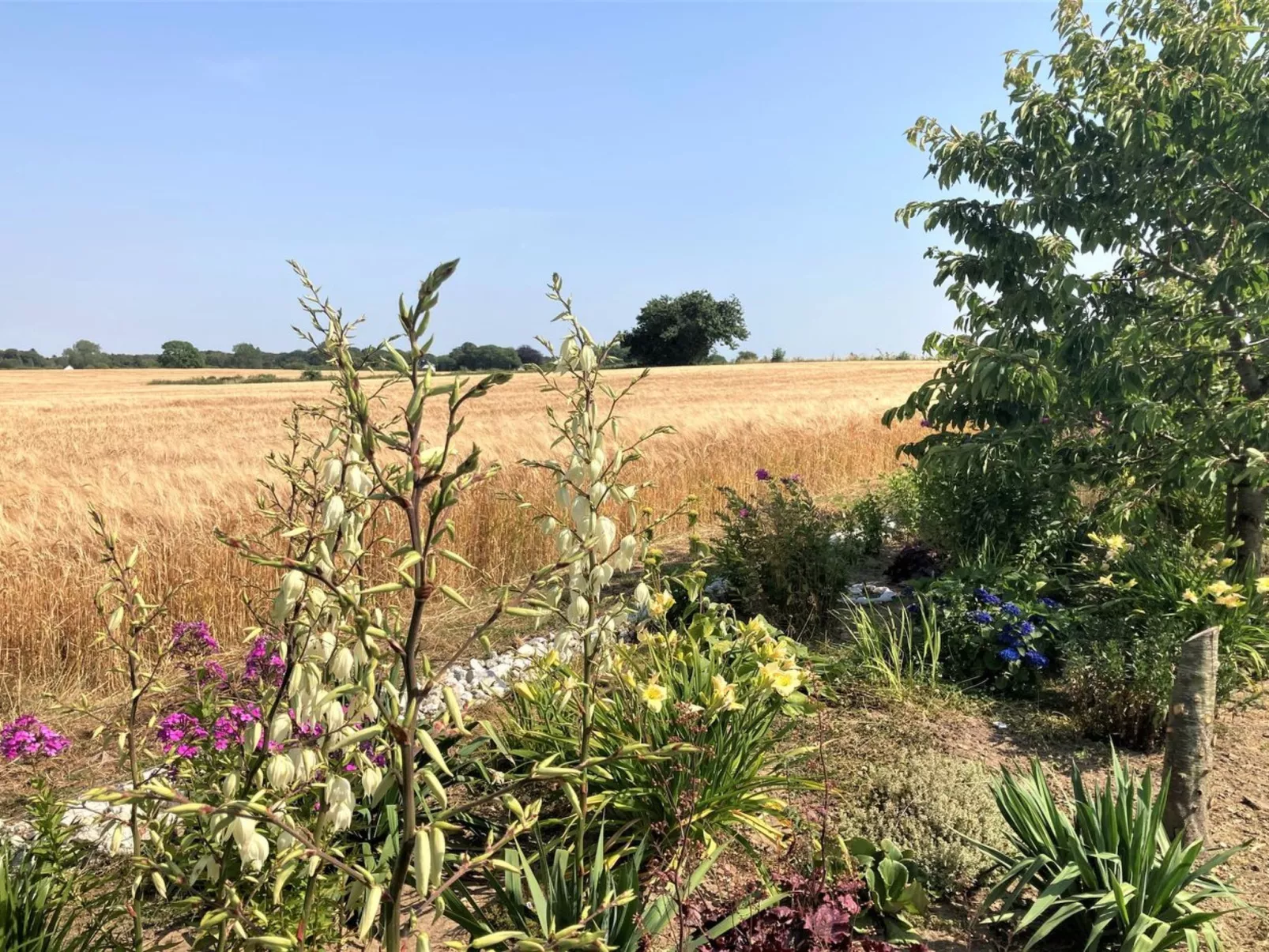 "Asya" - 600m from the sea-Buiten