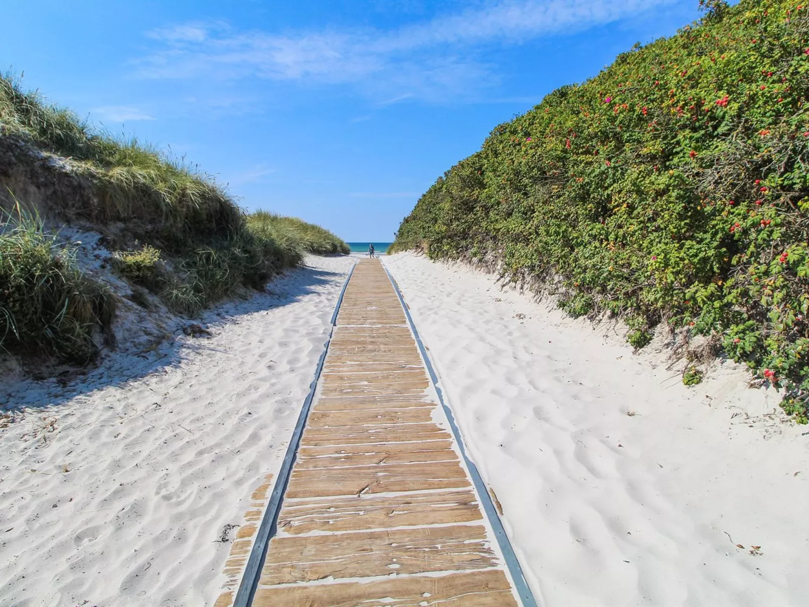 "Wilgrib" - 400m from the sea-Buiten