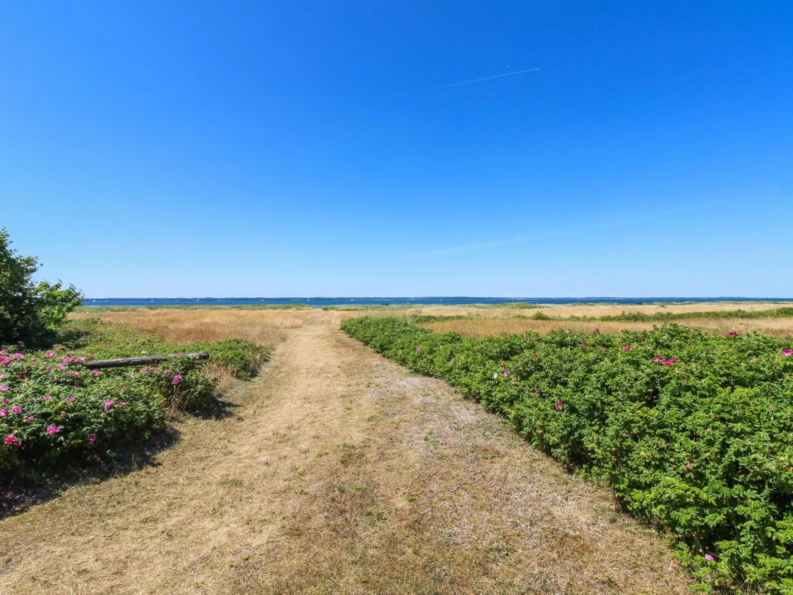 "Elisej" - 100m from the sea-Buiten