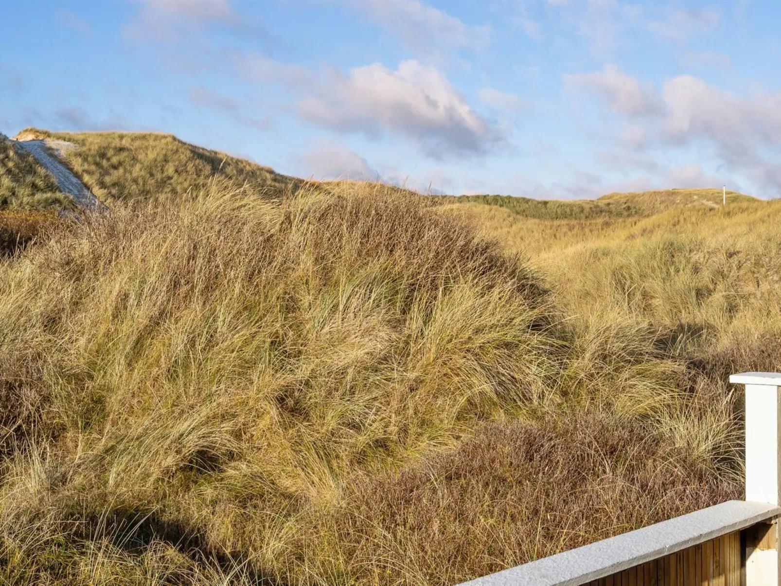 "Assa" -  from the sea-Buiten