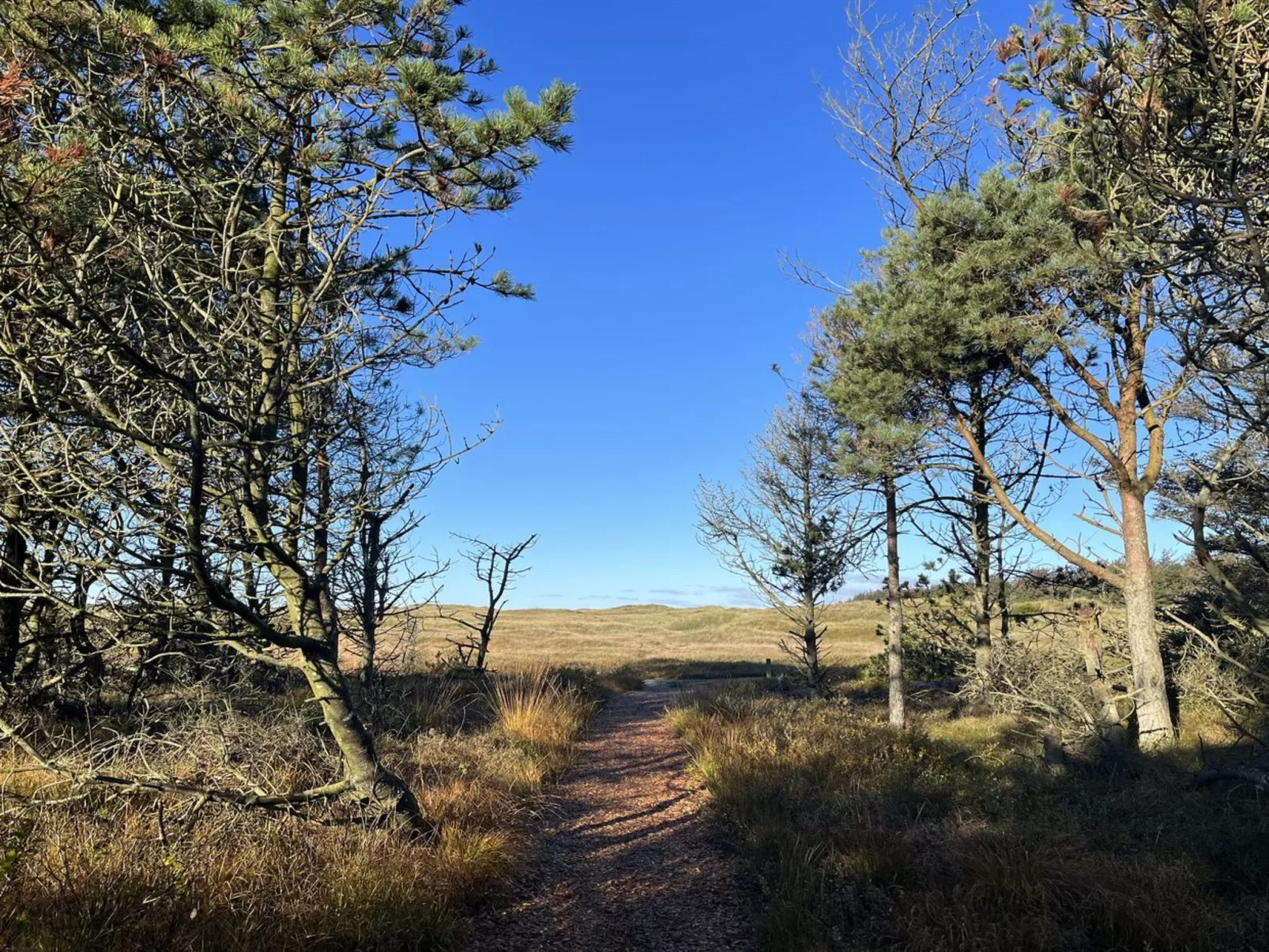 "Nilson" - 1.4km from the sea-Buiten