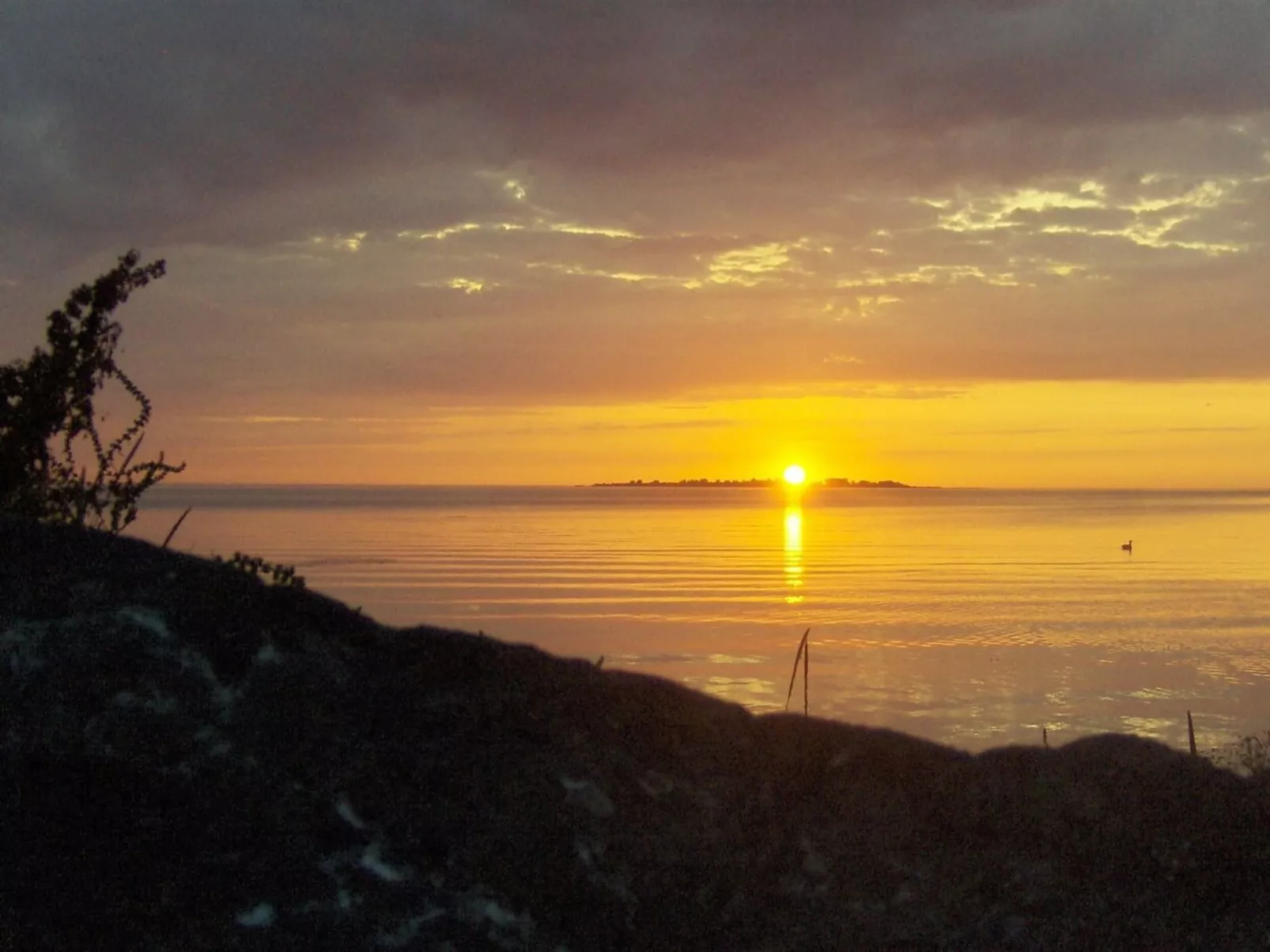 "Eddy" - 50m from the sea-Buiten