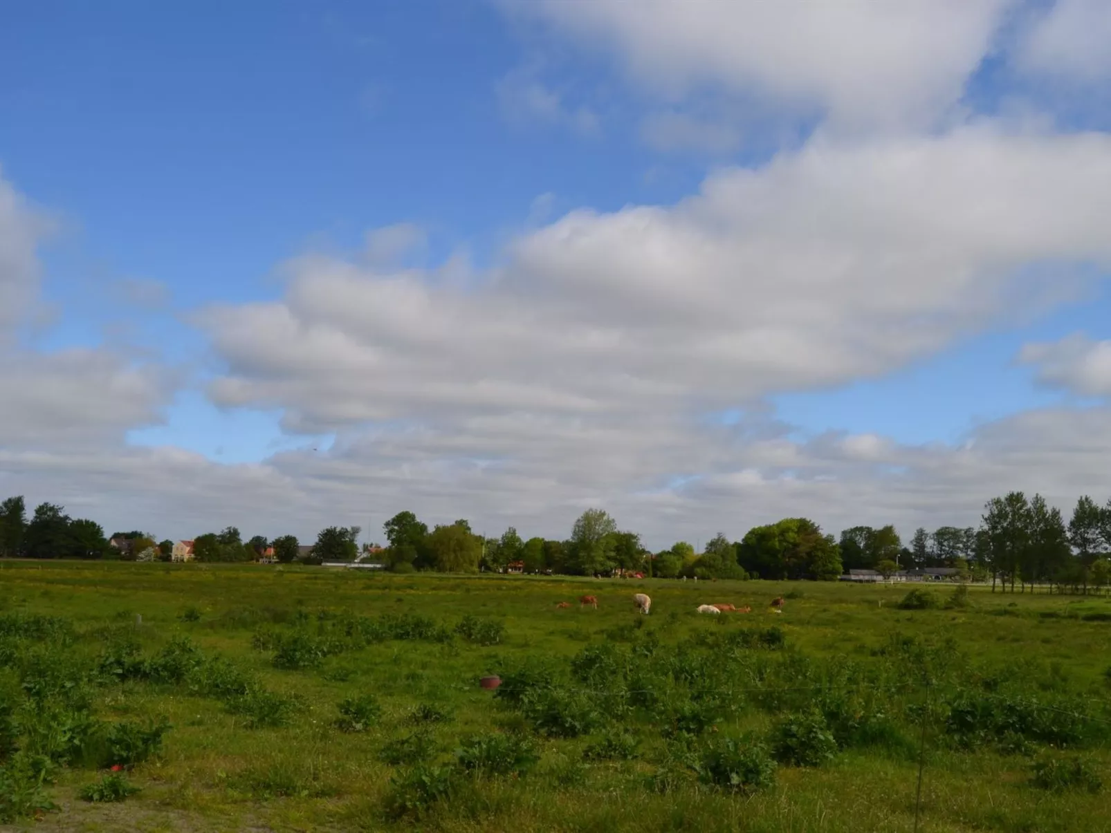 "Josina" - 32km from the sea-Buiten