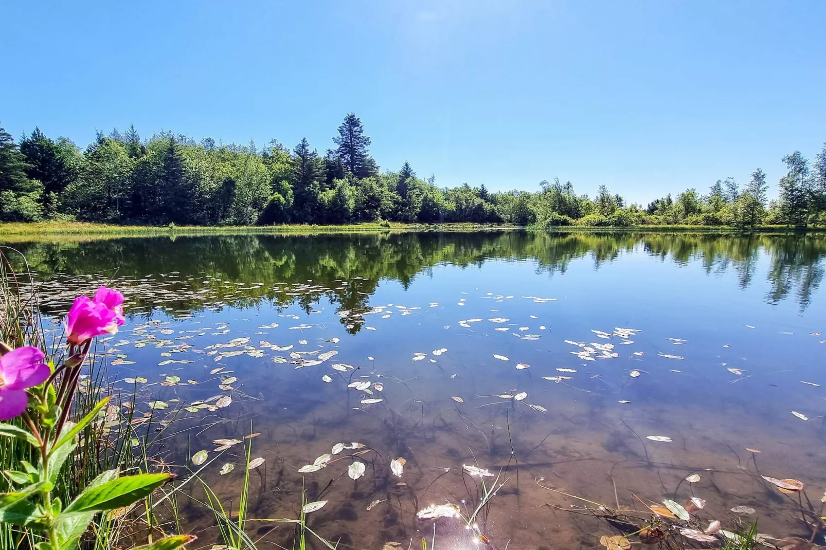 6 persoons vakantie huis in Vemb-By Traum