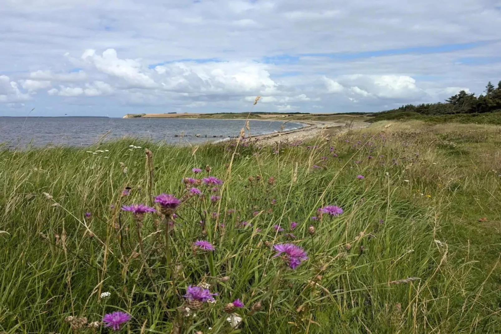 Gezellig vakantiehuis nabij Limfjorden-Niet-getagd
