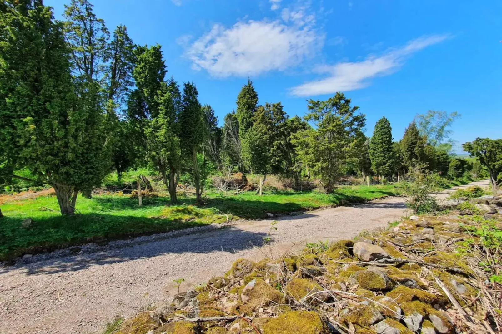 9 persoons vakantie huis in Ljungbyhed-By Traum-Niet-getagd