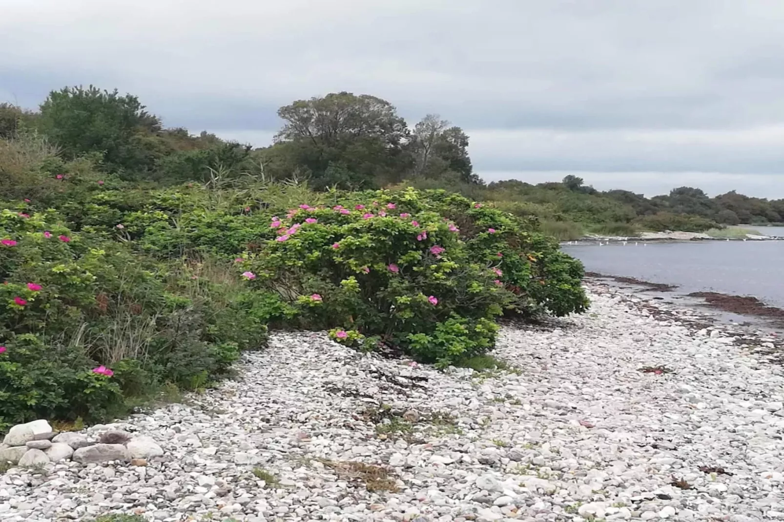 5 persoons vakantie huis in Aabenraa-By Traum-Waterzicht