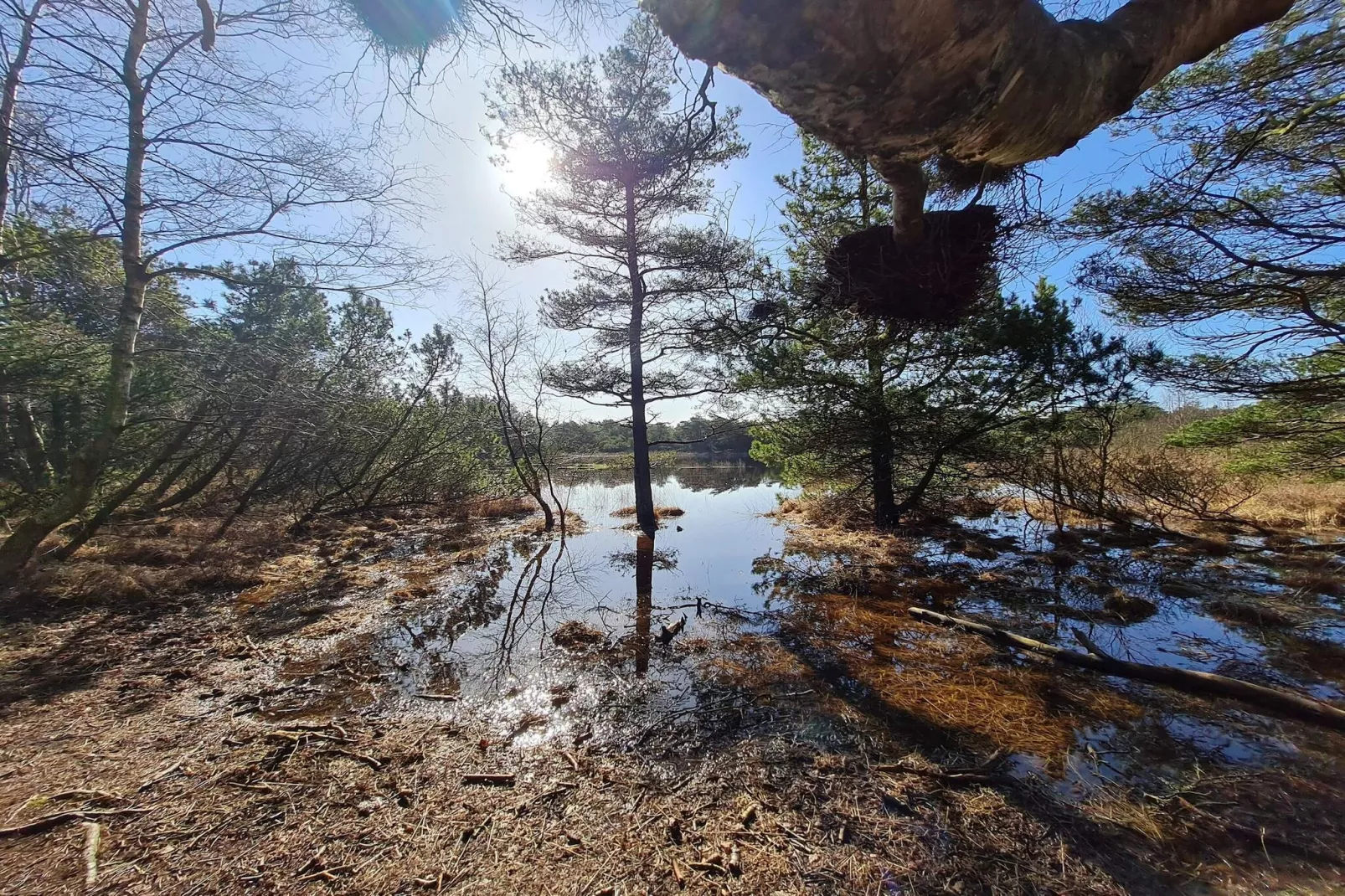 Luxe villa met zwembad -- By Traum Ferienwohnungen-Waterzicht