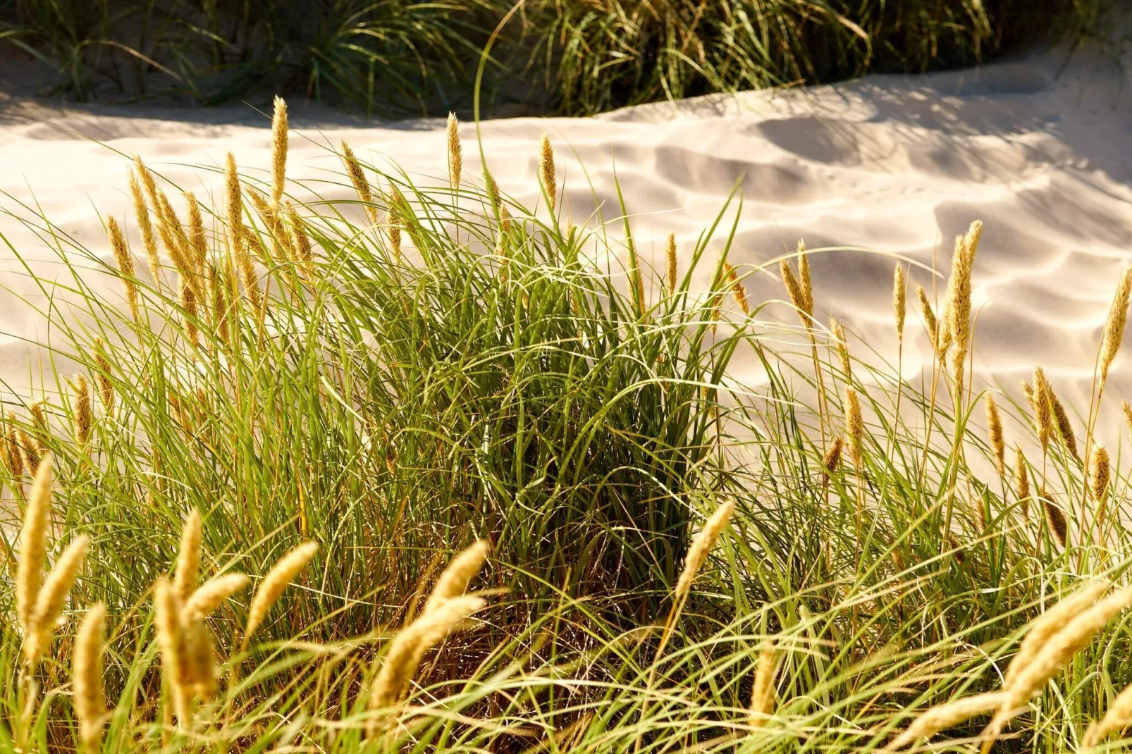 6 persoons vakantie huis in Fjerritslev-By Traum-Niet-getagd