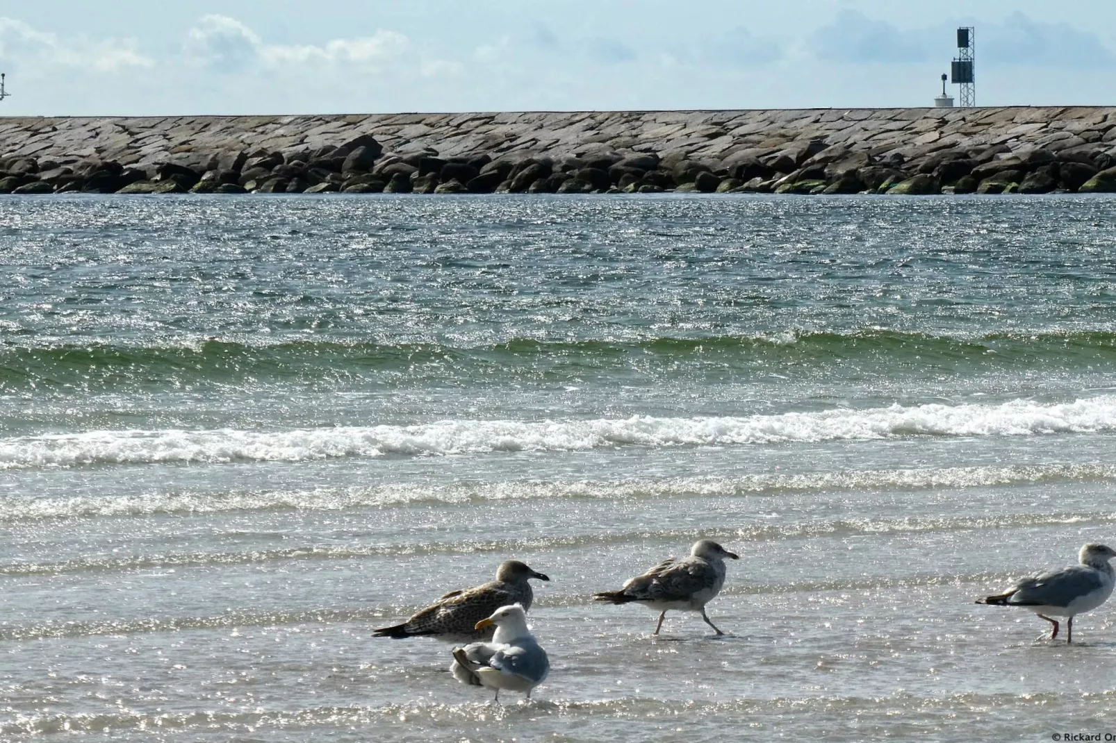 3 persoons vakantie huis in HUNVIGAN-By Traum-Waterzicht