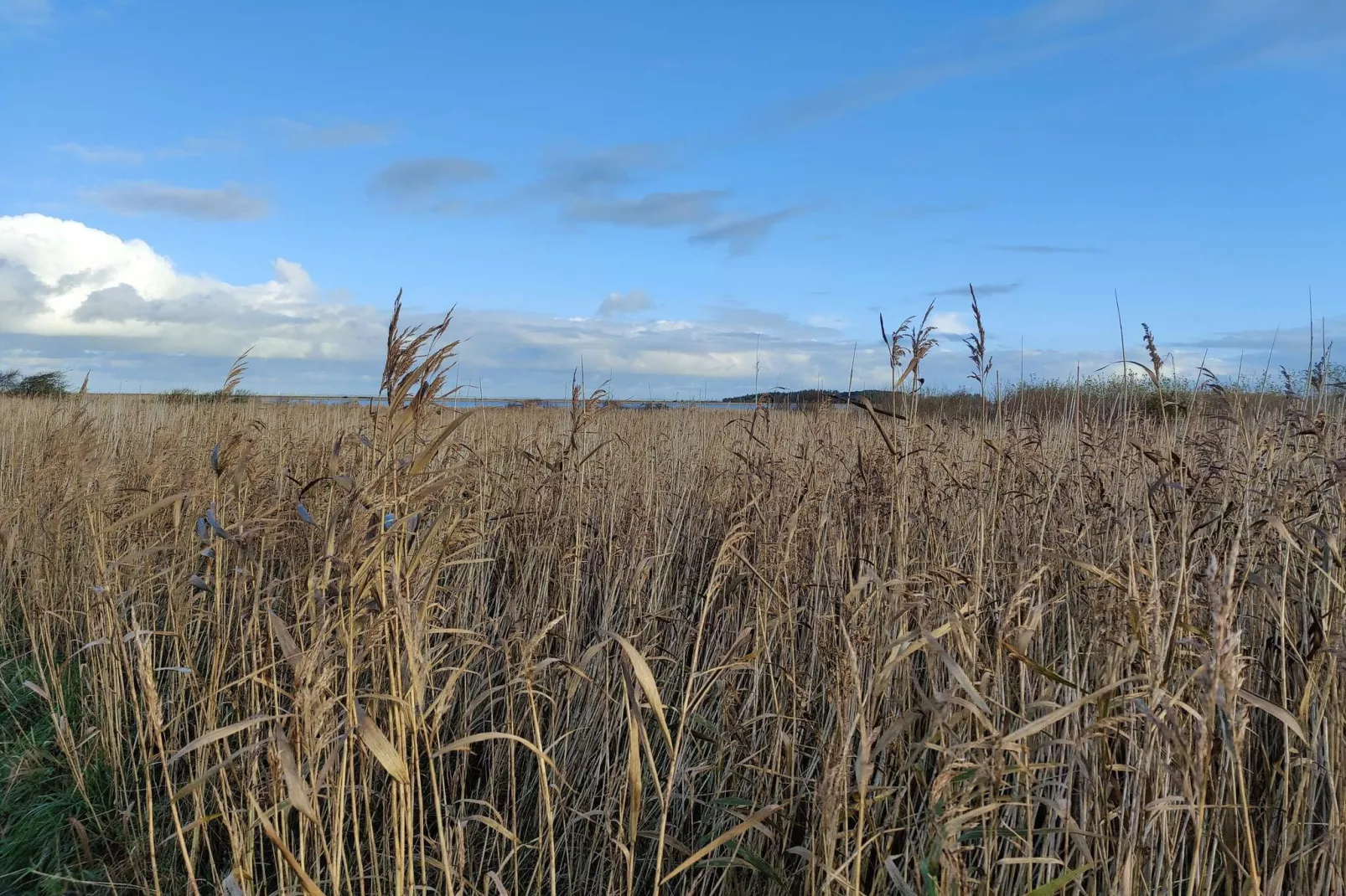 8 persoons vakantie huis in Lemvig-By Traum-Niet-getagd