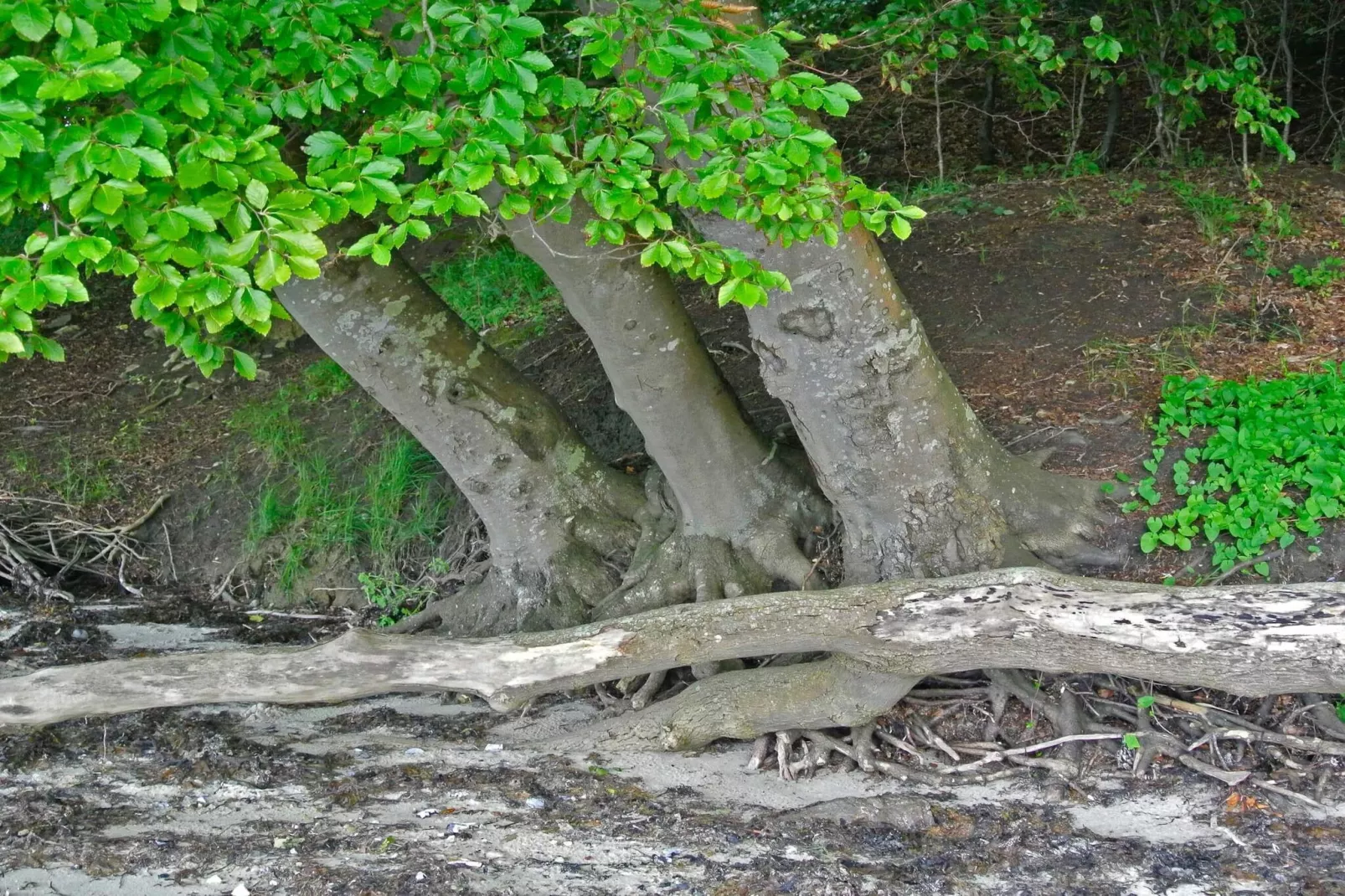 Strandgeluk in Hejlsminde -- By Traum Ferienwohnungen-Niet-getagd