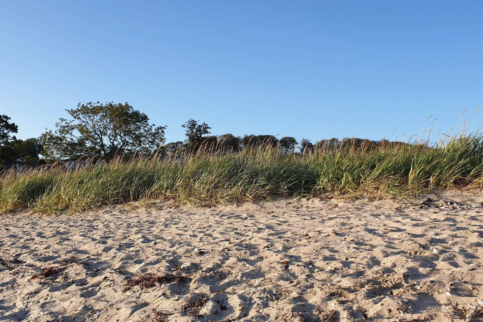 8 persoons vakantie huis in Aabenraa-By Traum