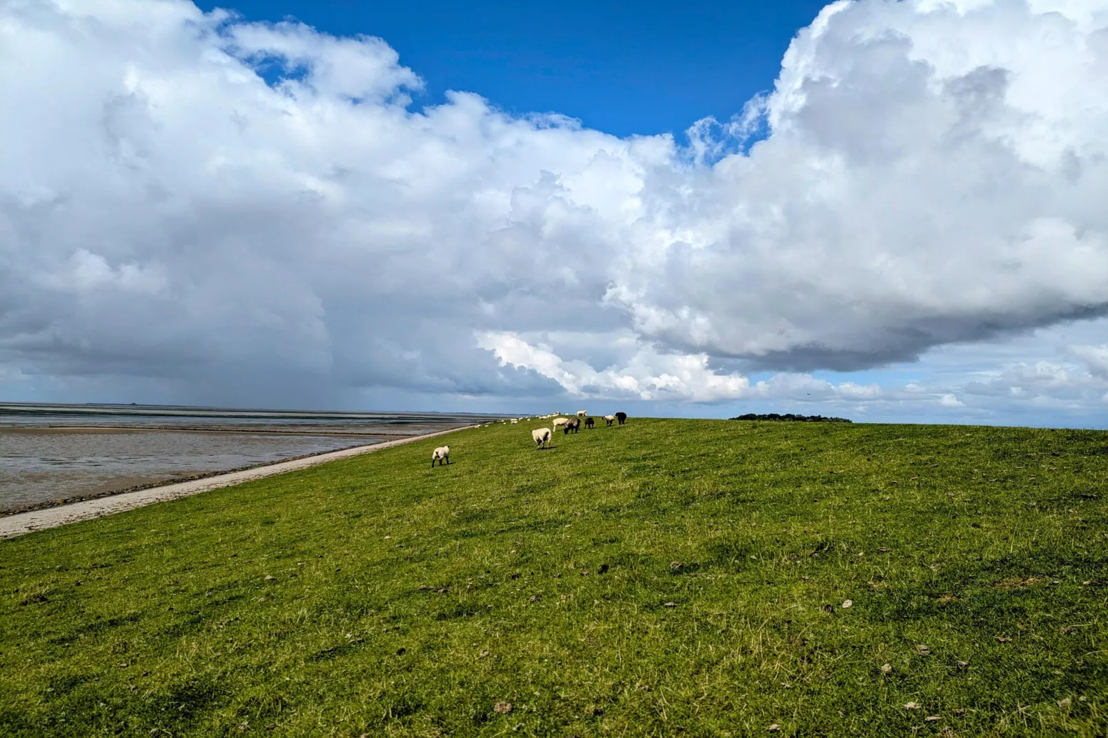 SeeZeichen auf Nordstrand - 4 Personen-Gebieden zomer 1km