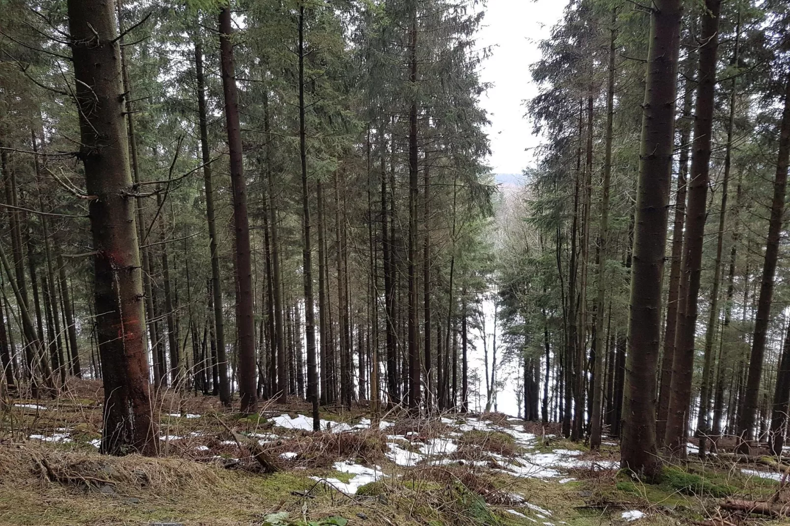 Studio Am Waltenberg 57-S-Gebied winter 5km