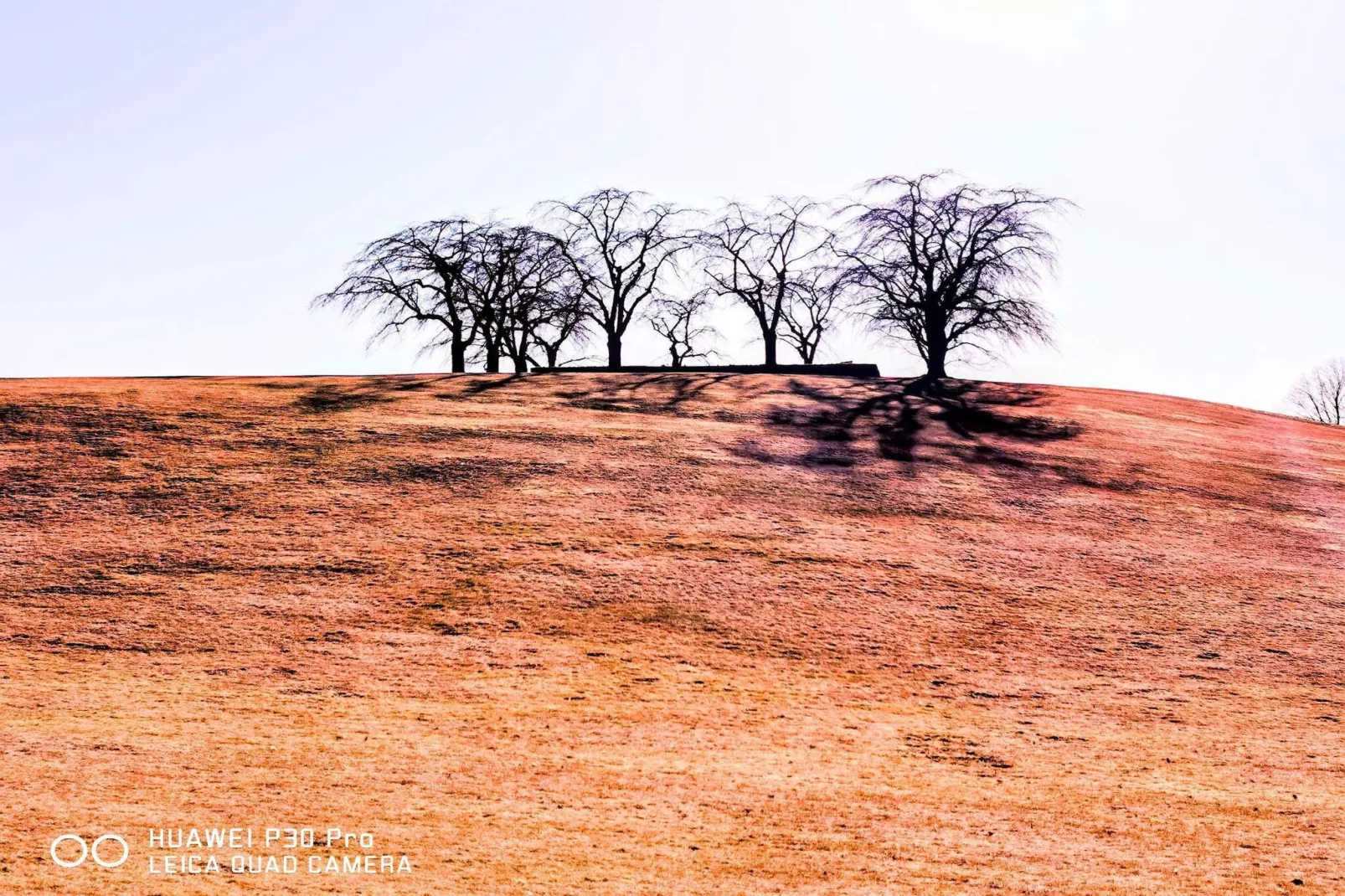 4 sterren vakantie huis in ENSKEDE-By Traum-Niet-getagd