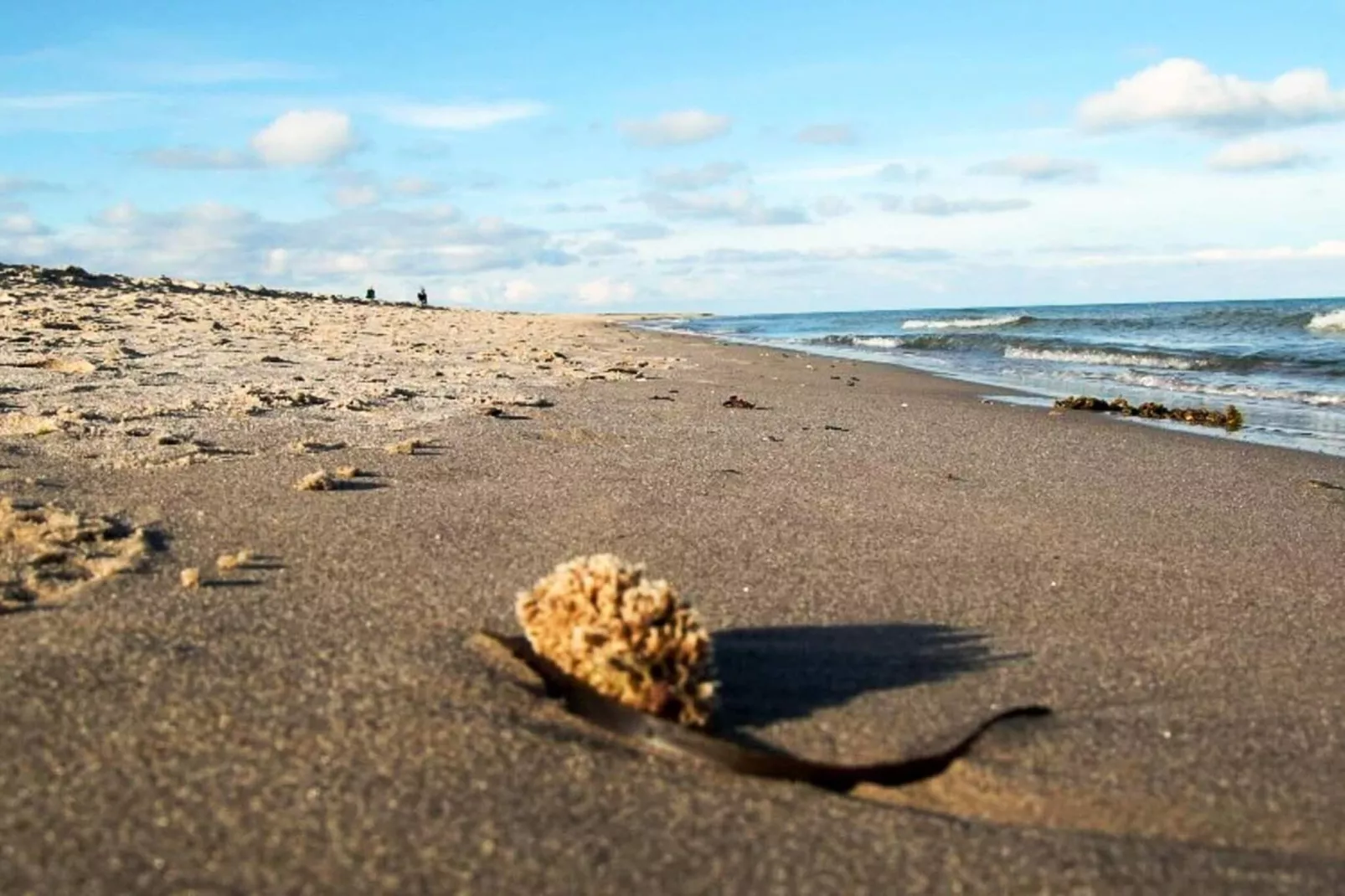 5 sterren vakantie huis in Skagen-By Traum-Niet-getagd