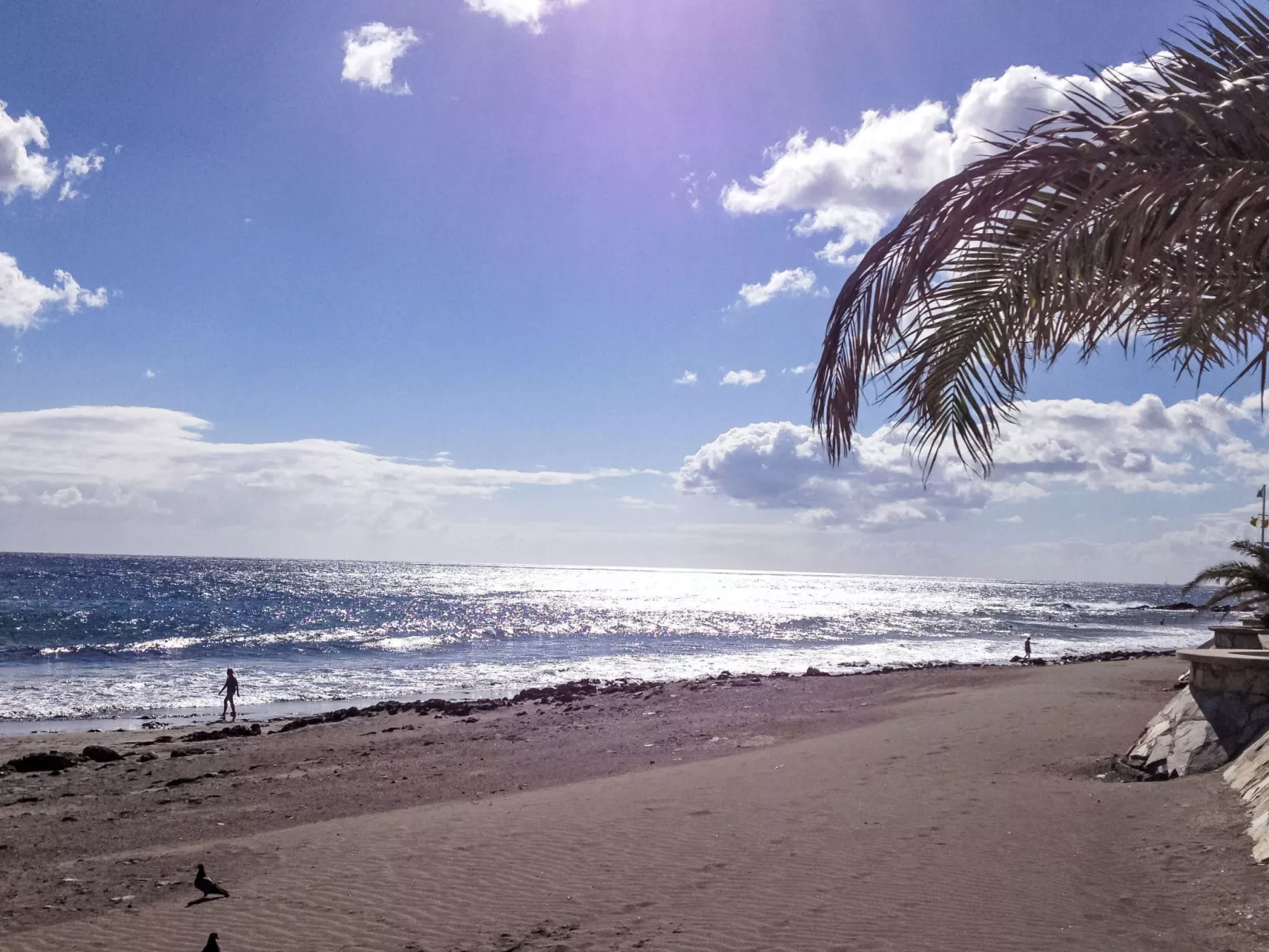 Papagayo San Agustin-Buiten