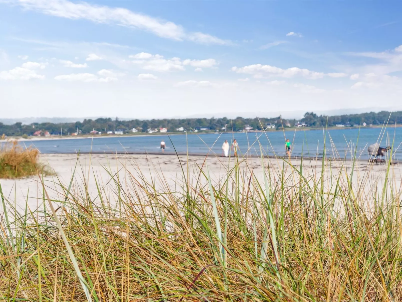 "Johan" - 200m from the sea-Buiten