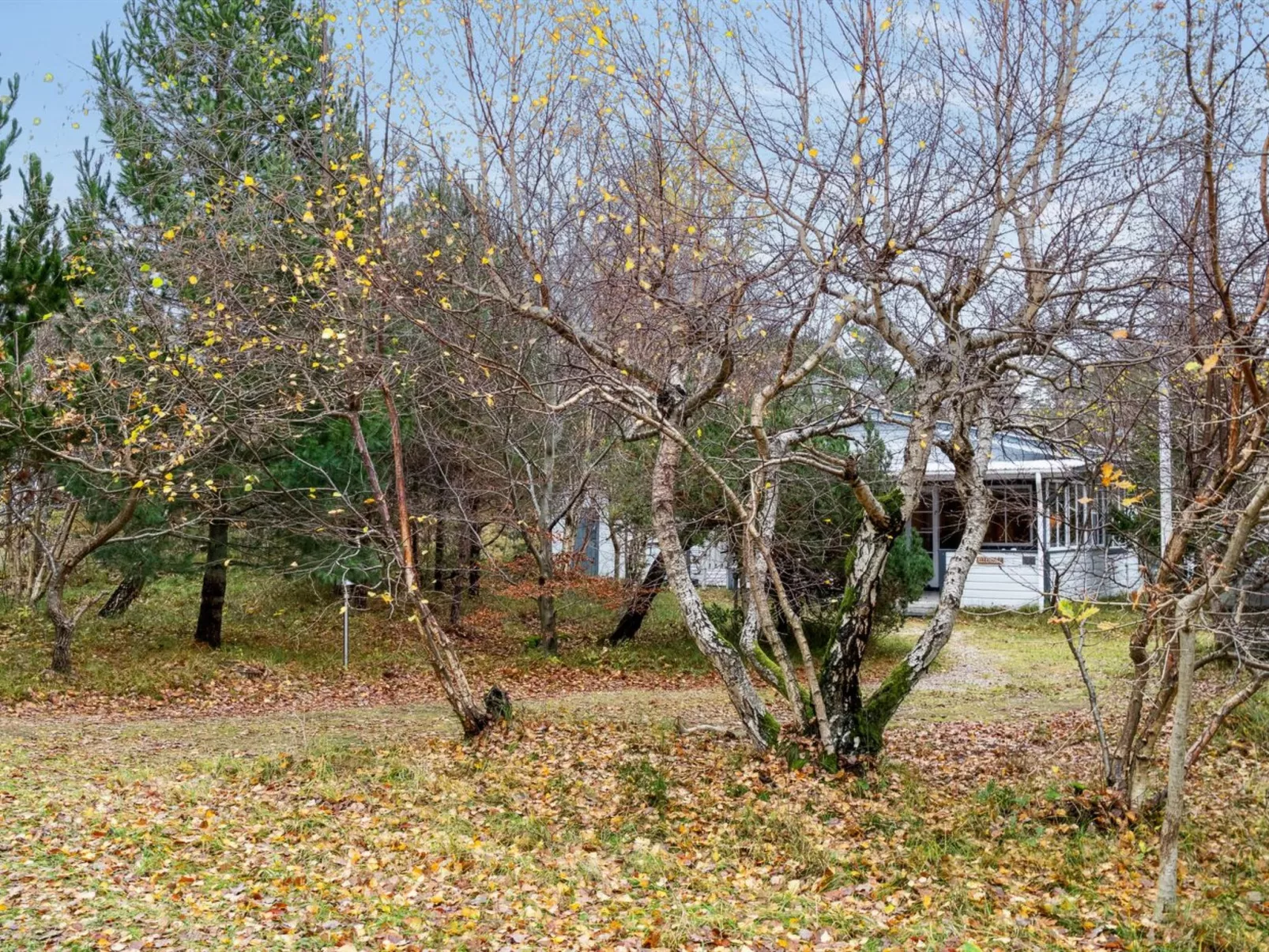 "Alessandra" - 175m from the sea-Buiten