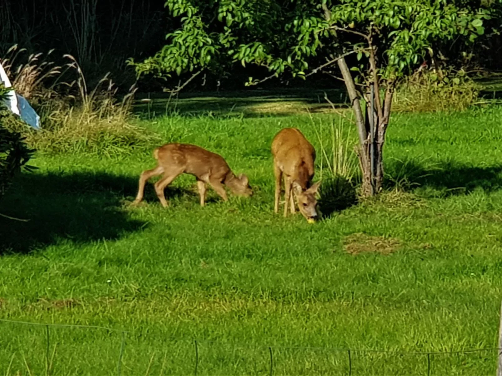 "Asmine" - 670m from the sea-Buiten