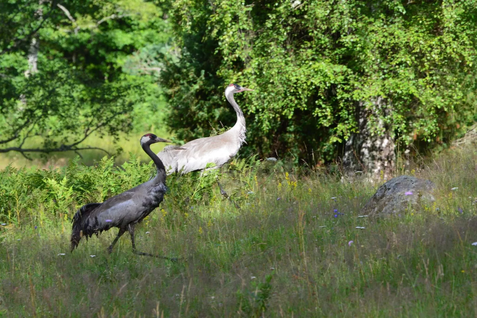 4 sterren vakantie huis in MALMKÖPING-By Traum-Niet-getagd