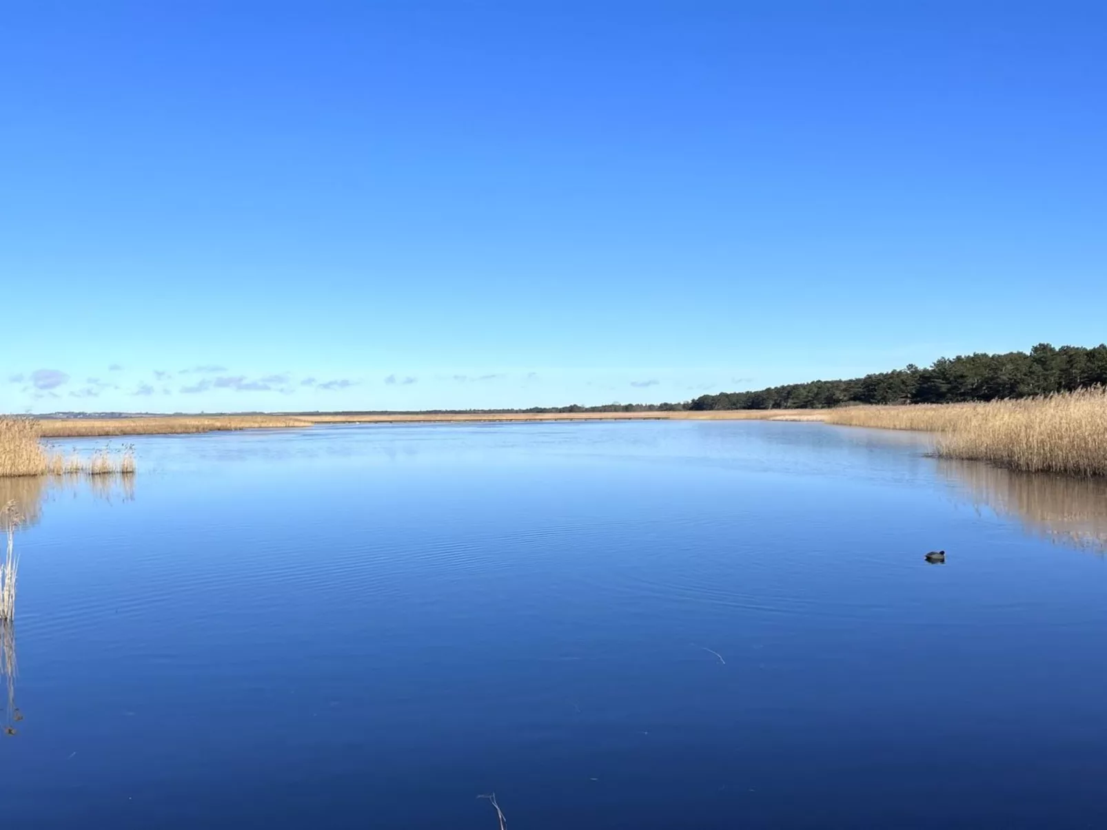 "Ela" - 800m from the sea-Buiten