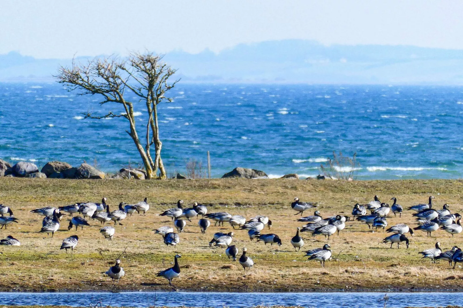 4 persoons vakantie huis in Millinge-By Traum-Waterzicht