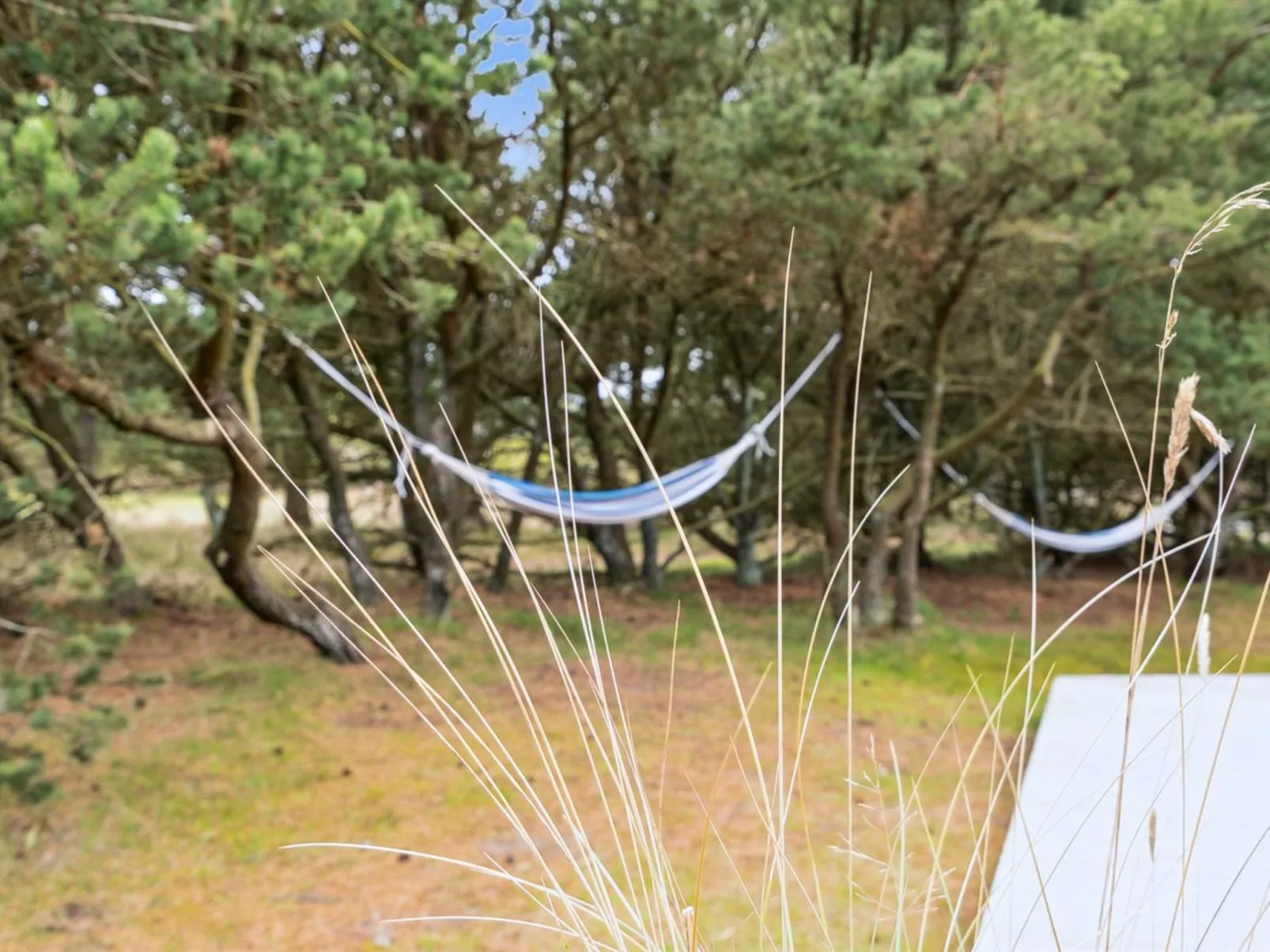 "Ginna" - 1.3km from the sea-Buiten