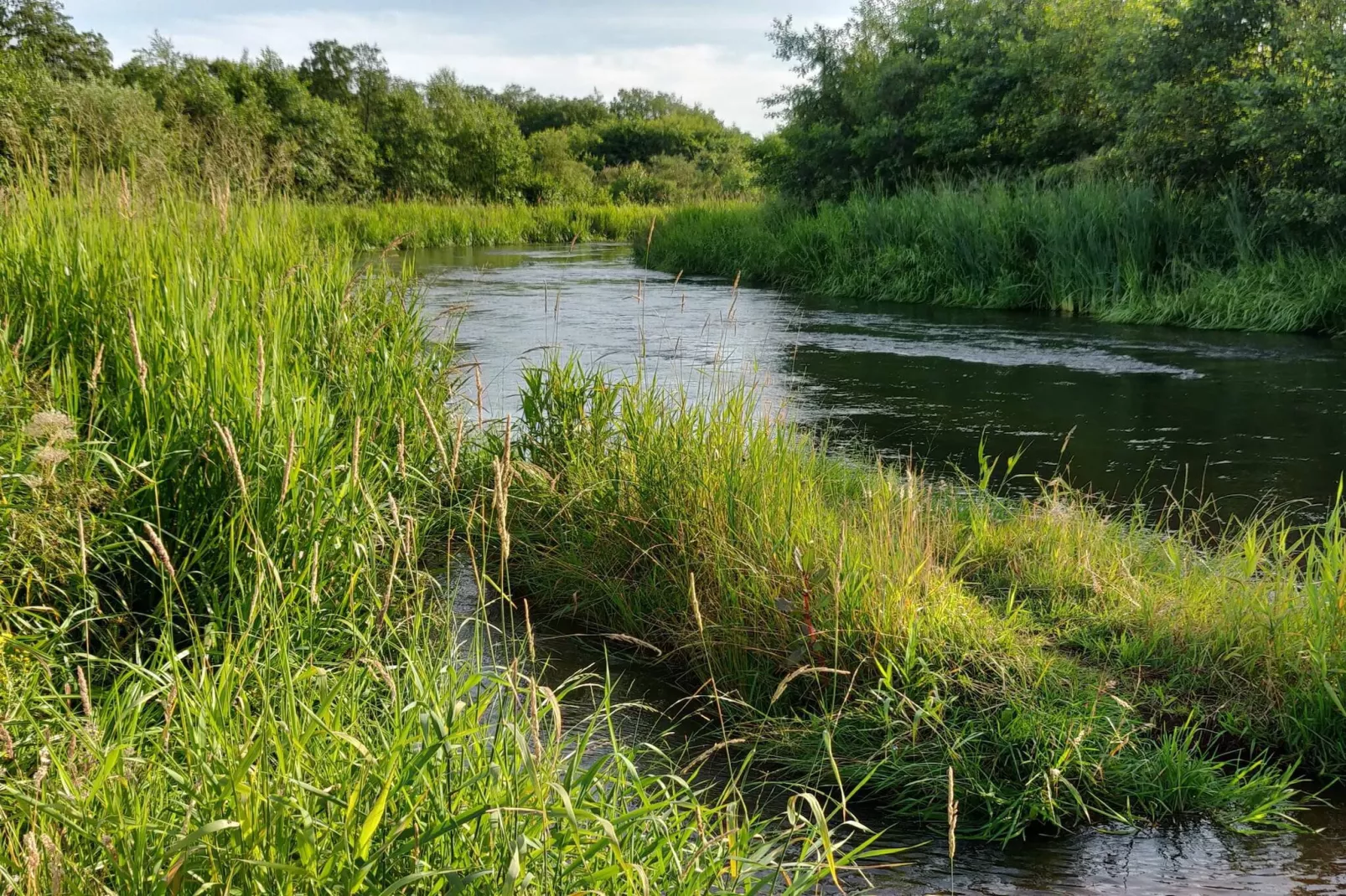 5 sterren vakantie huis in Ansager-By Traum-Waterzicht