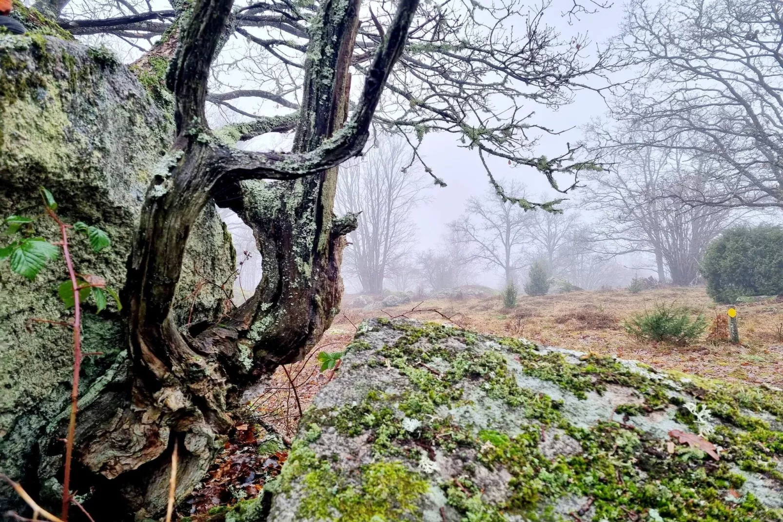 4 sterren vakantie huis in KARLSKRONA-Waterzicht
