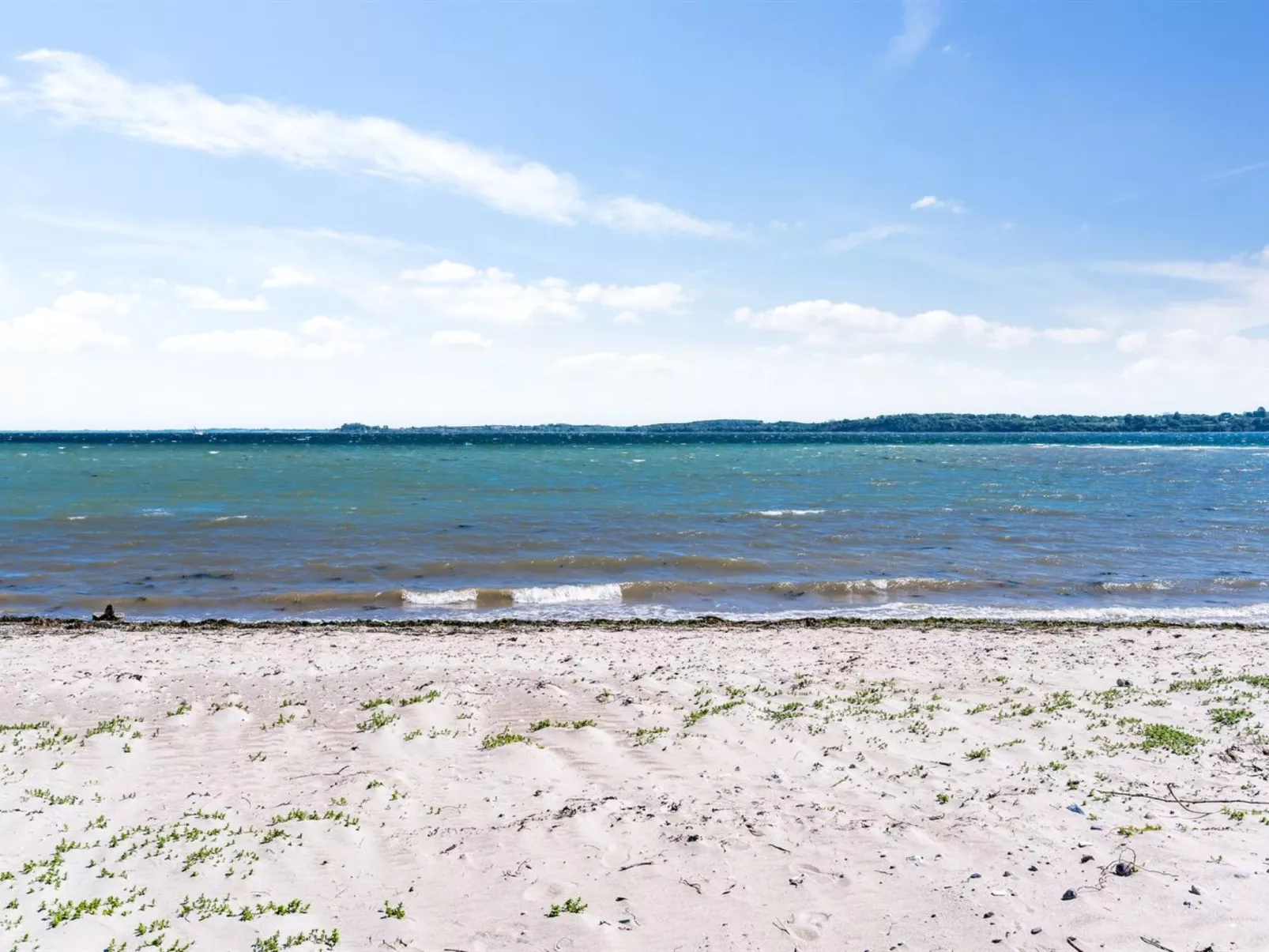 "Fokke" - 450m from the sea-Buiten