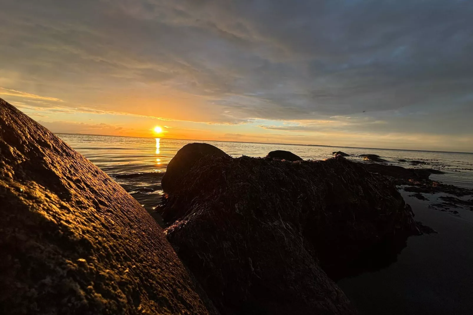 12 persoons vakantie huis in Nordborg-Waterzicht