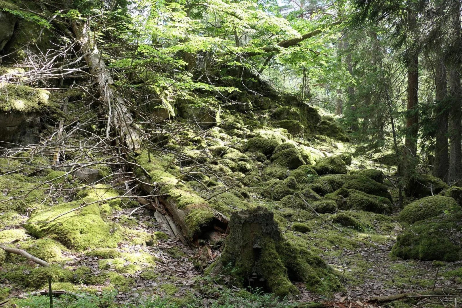 4 sterren vakantie huis in VÄRMDÖ-Niet-getagd