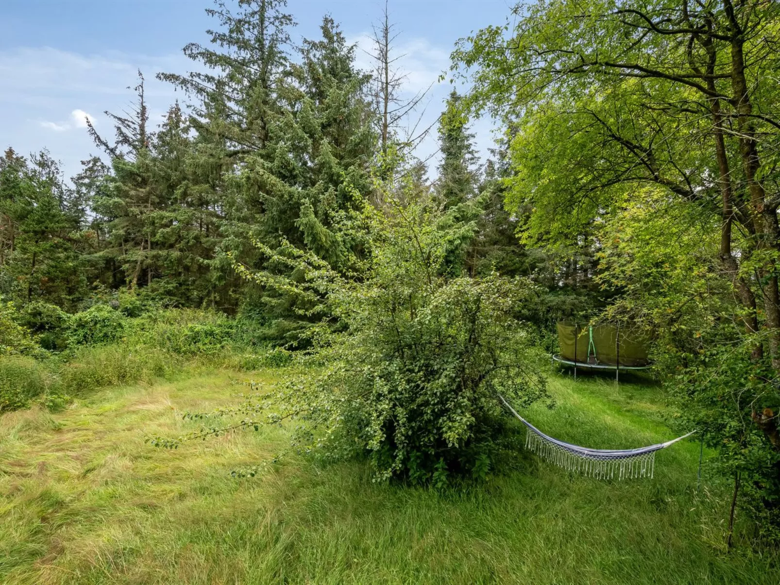 "Wiss" - 4.1km from the sea-Buiten