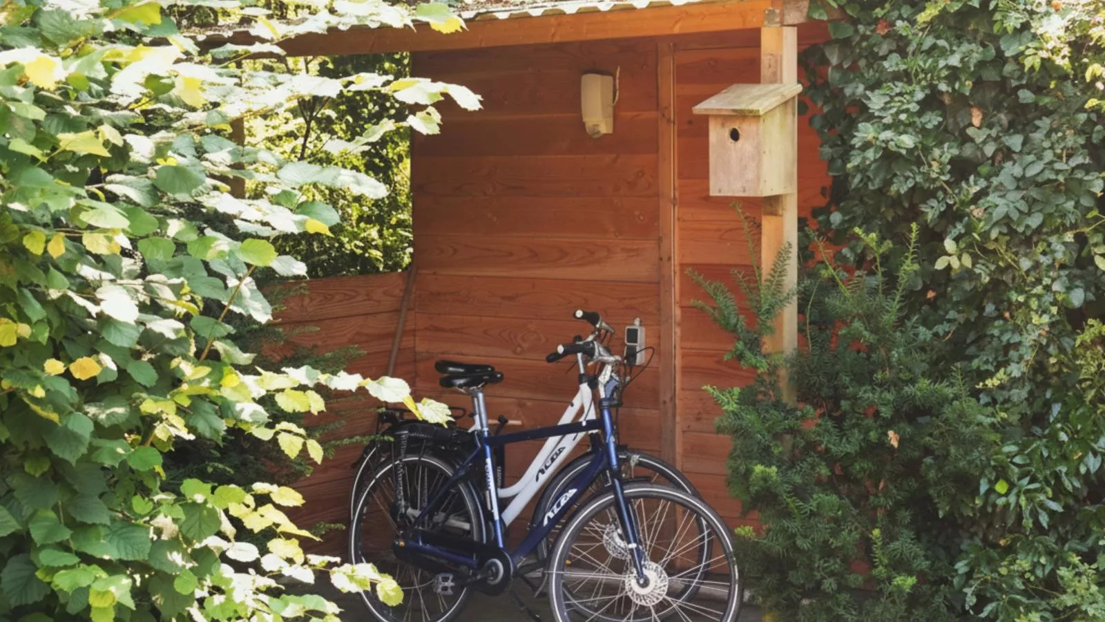 Wellnesshuisje Kalheupink-Tuinen zomer