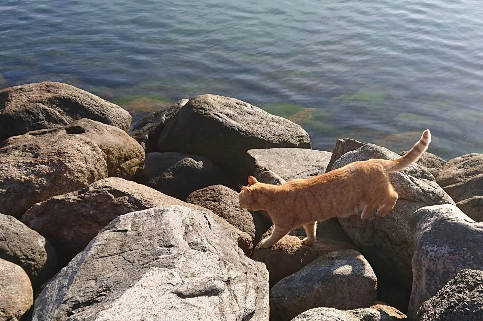 4 Personen vakantie huis in Karrebæksminde