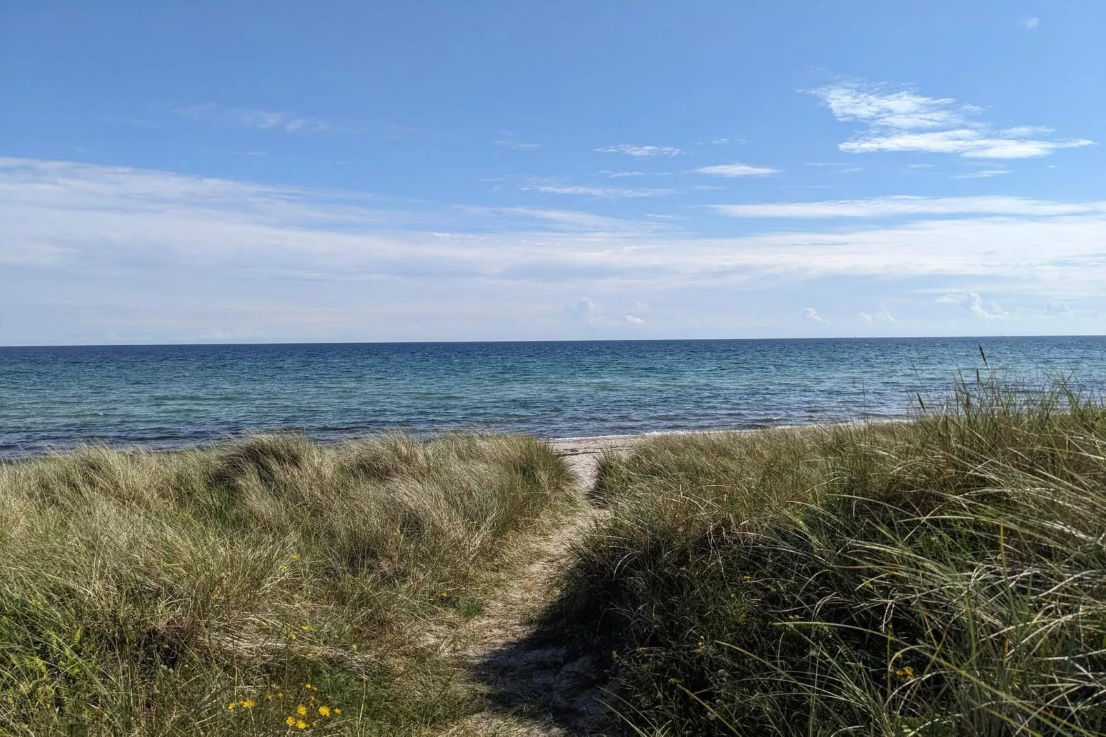 4 sterren vakantie huis in Idestrup-Waterzicht