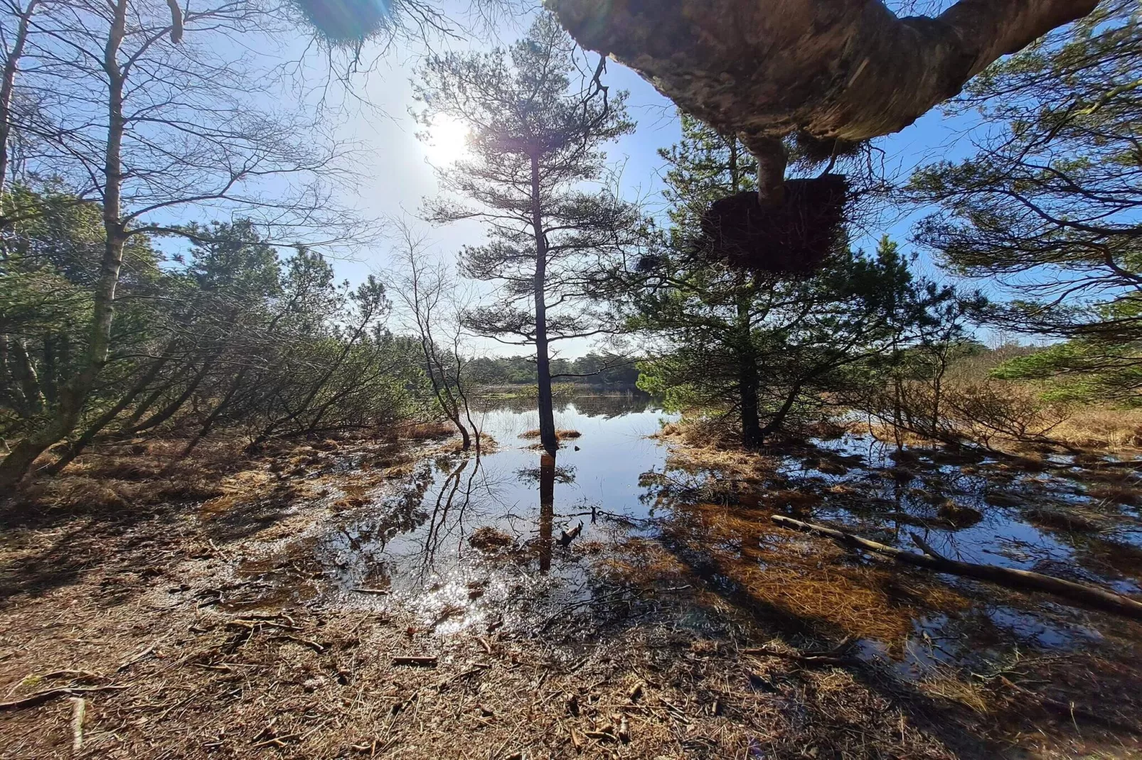 5 sterren vakantie huis in Rømø-Waterzicht