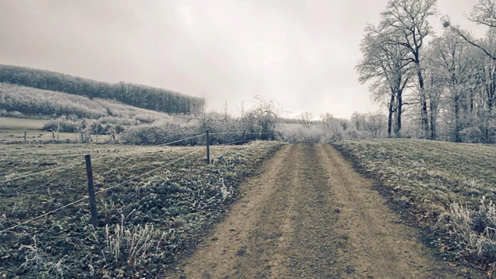 Wienerwaldblick-Gebied winter 20km