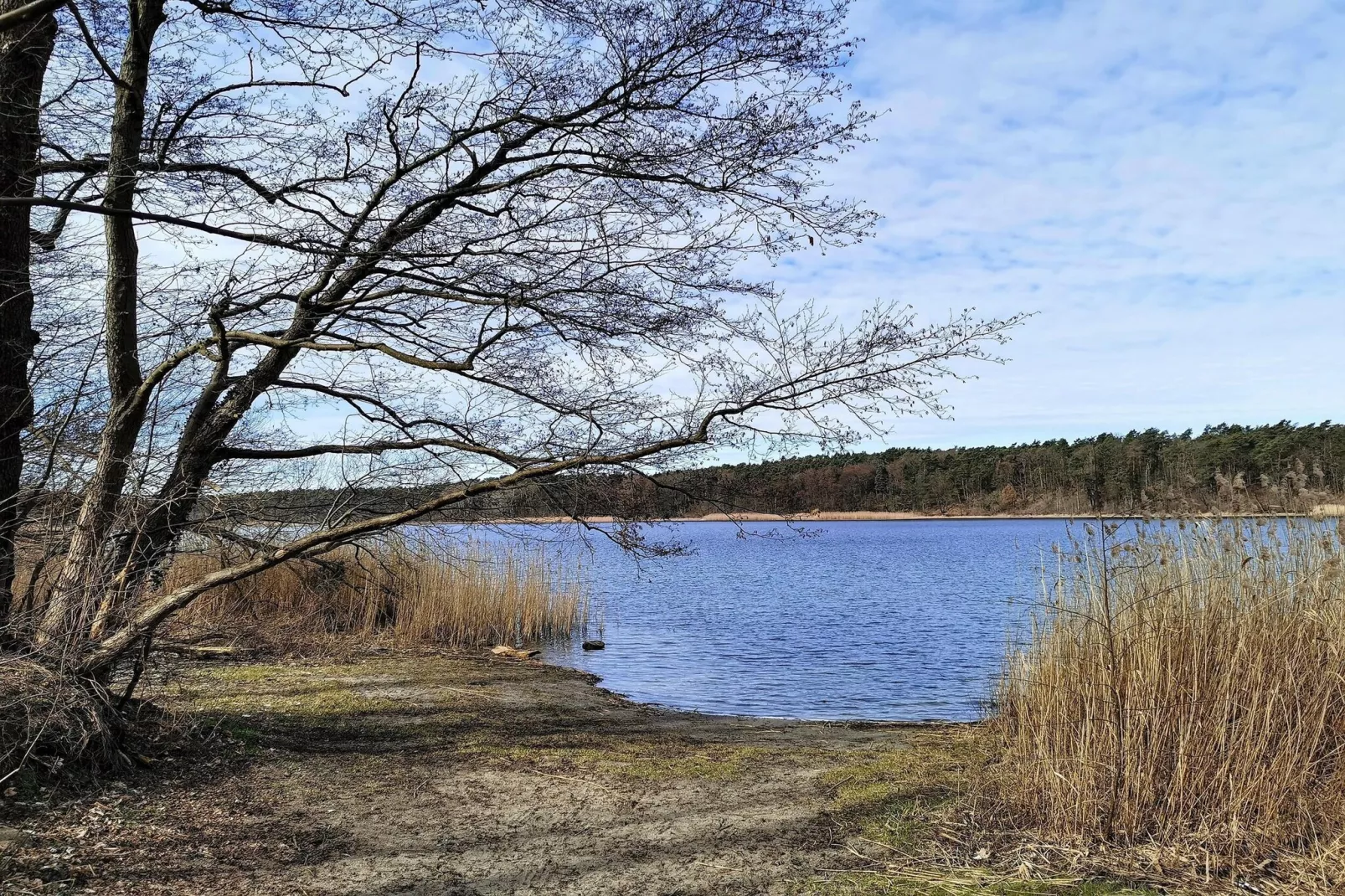 Luxus Appartement / 3 Personen-Gebieden zomer 1km