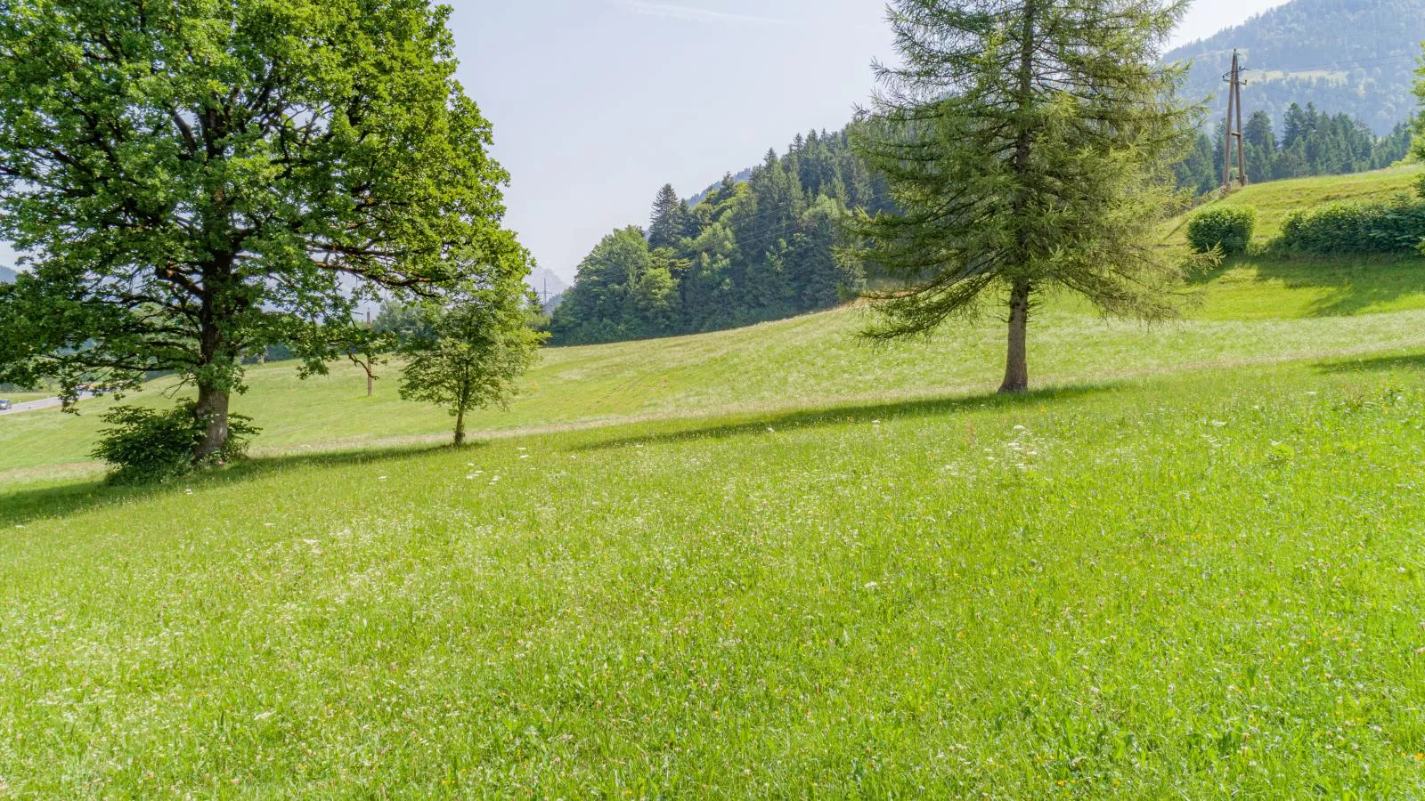 Hintermühltalhof-Gebieden zomer 1km