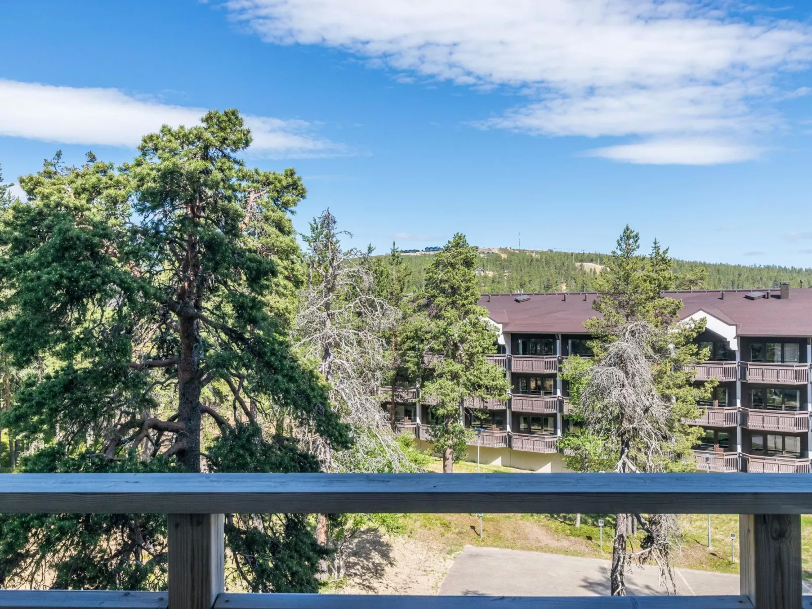 Kelotähti a 23-Binnen