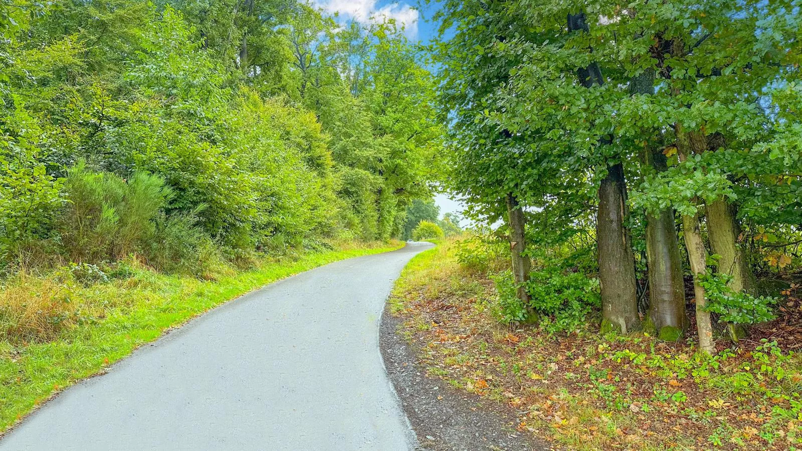 Panoramablick-Gebieden zomer 1km