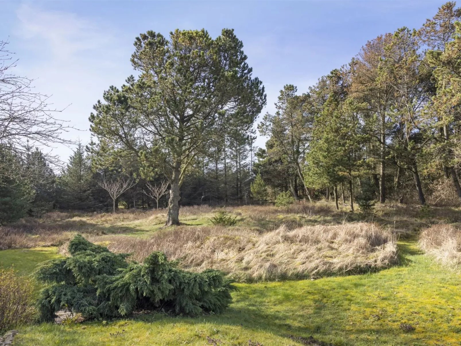 "Feli" - 180m from the sea-Buiten