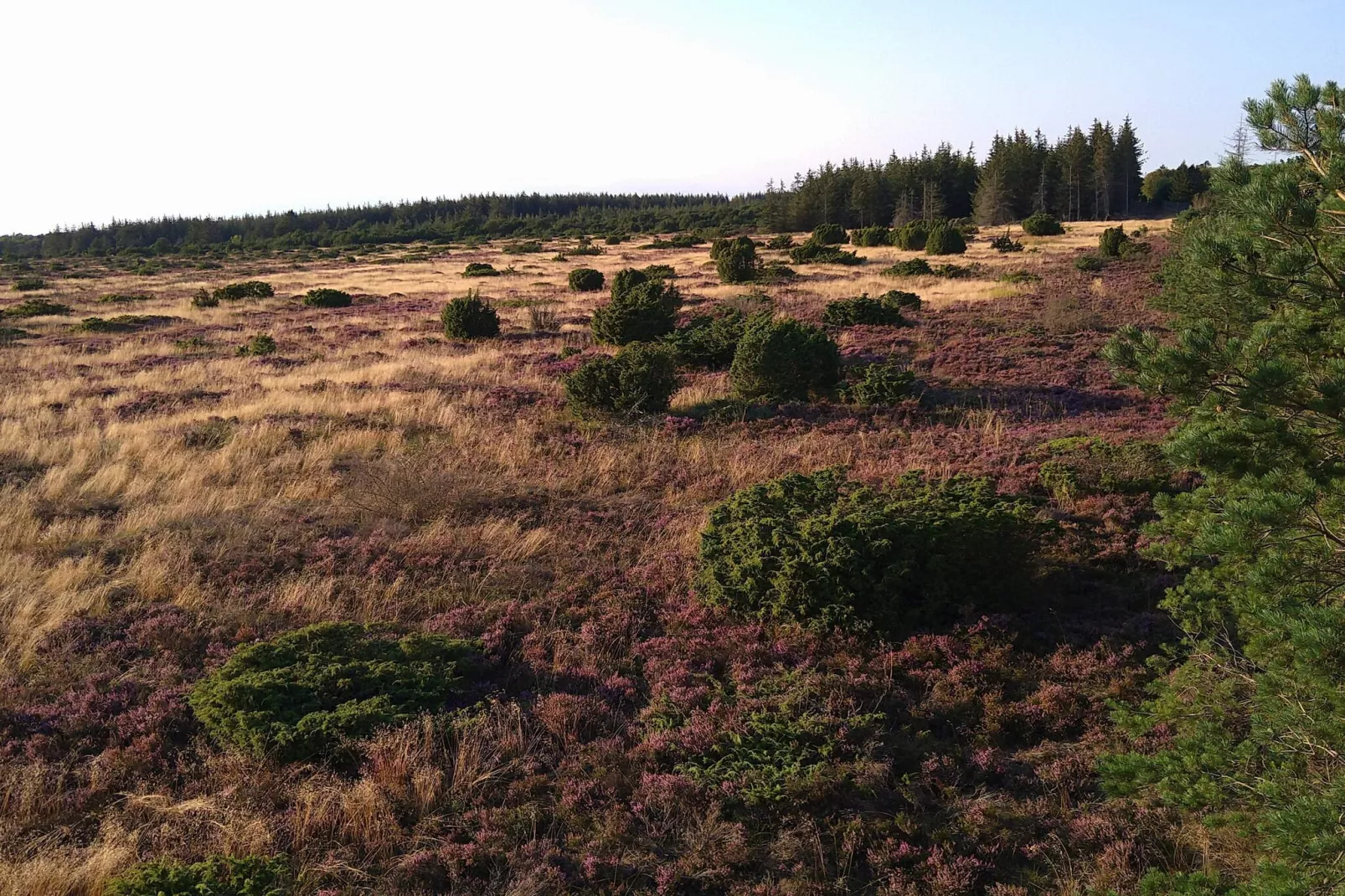 5 sterren vakantie huis in Hadsund-Niet-getagd