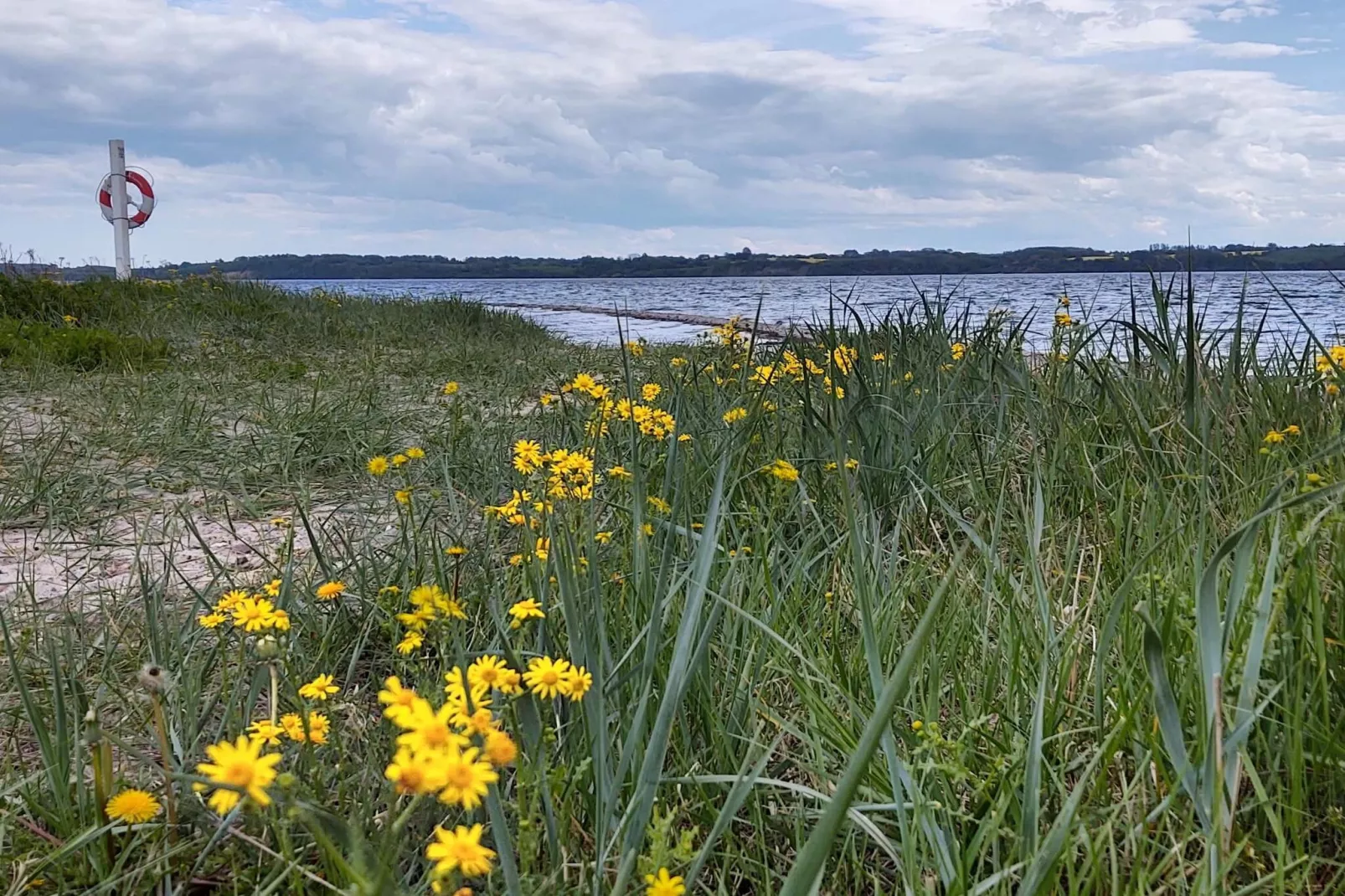 5 sterren vakantie huis in Aabenraa-Waterzicht